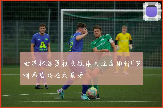 世界杯球员社交媒体关注度排行C罗梅西哈姆名列前茅